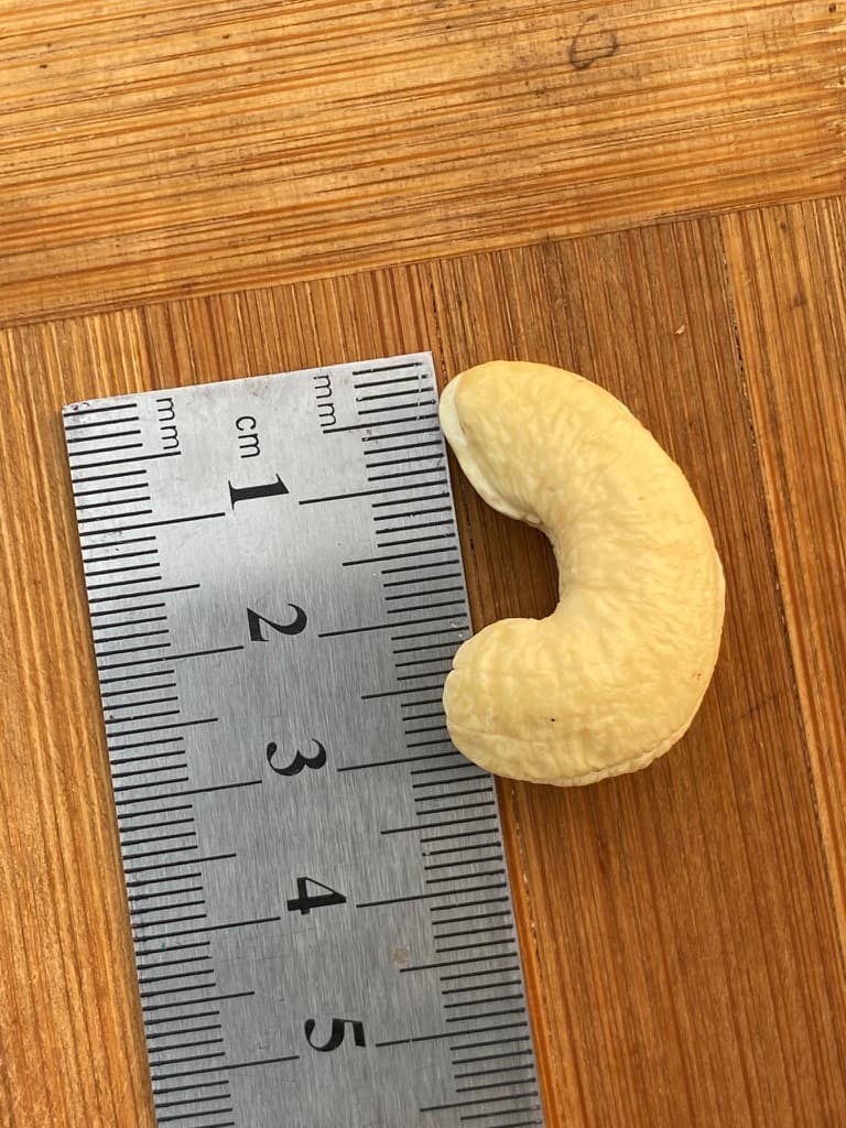 কাজু বাদাম (৫০০ গ্রাম)